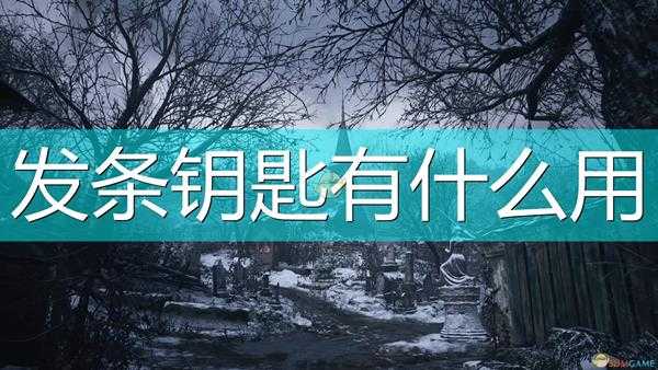 《生化危机8：村庄》木偶谜题发条钥匙作用介绍