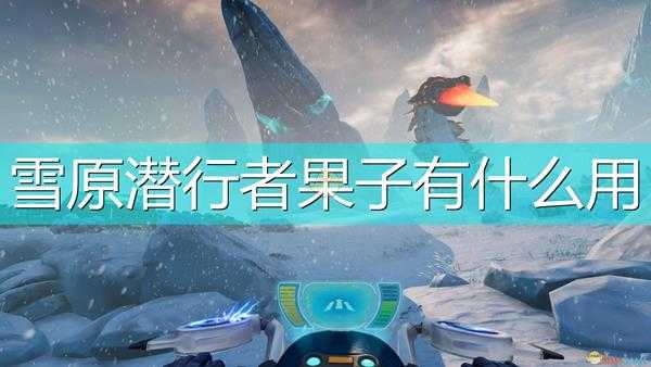 《深海迷航：冰点之下》雪原潜行者果子作用效果介绍