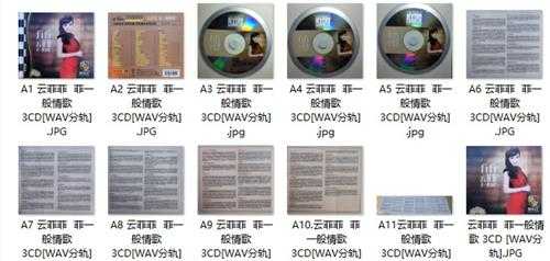 云菲菲-《菲一般情歌》3CD［WAV分轨+CUE]