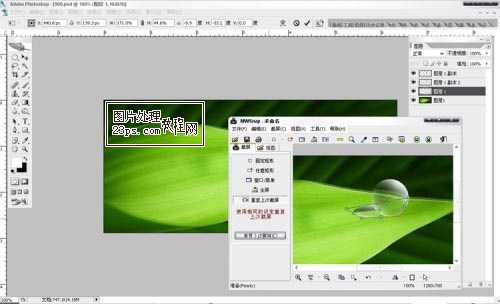 Photoshop将制作出漂亮绿叶上的水珠