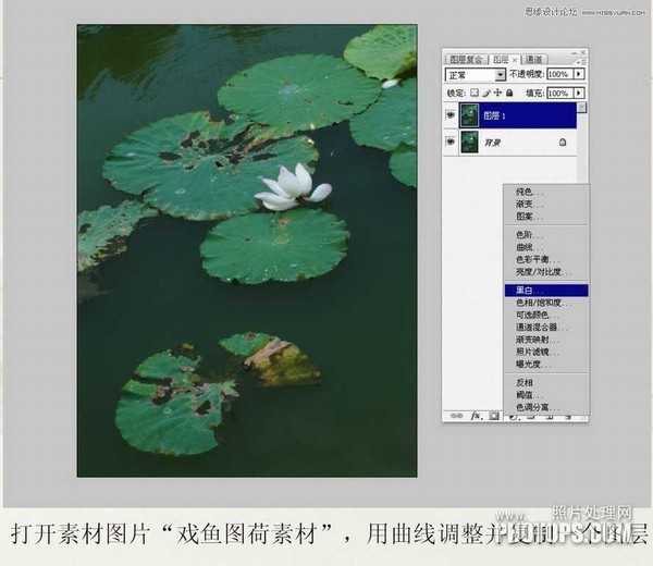 教你用Photoshop把废弃的荷花图制作戏鱼图封面