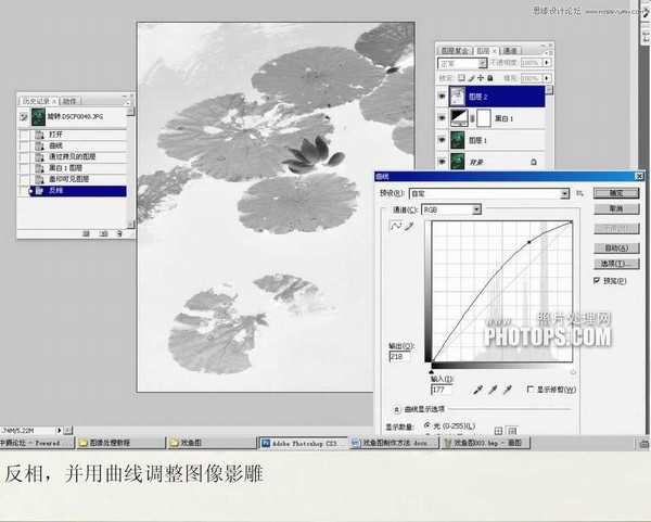 教你用Photoshop把废弃的荷花图制作戏鱼图封面