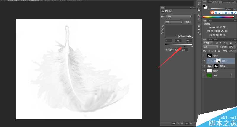 Photoshop巧用色阶快速的抠出很细腻的羽毛