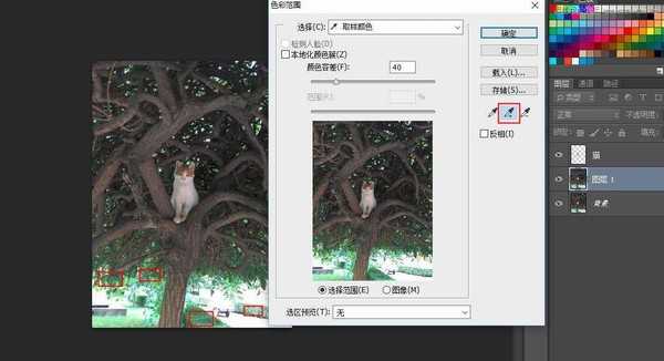 Photoshop合成唯美梦幻主题风格的猫咪场景效果